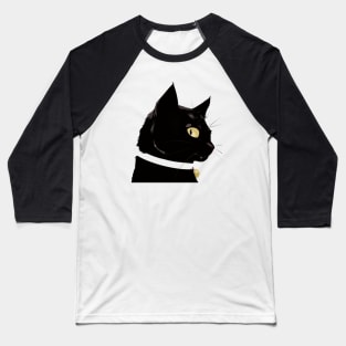 Pi, the Cat Baseball T-Shirt